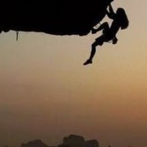 Meet your Posher, Hattie